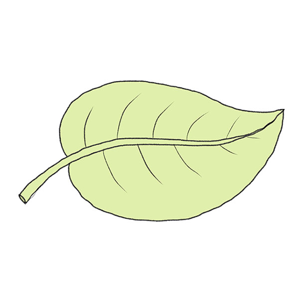 How to Draw an Easy Leaf - Easy Drawing Tutorial For Kids