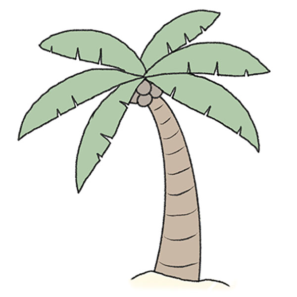 Coconut Tree On An Island Svg Png Icon Free Download - Coconut Tree Drawing  Outline, Transparent Png - 980x967 PNG - DLF.PT