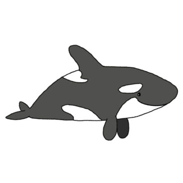How to Draw an Orca