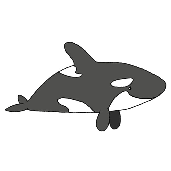 How to Draw an Orca Easy Drawing Tutorial For Kids