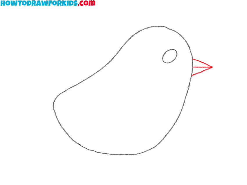 how to draw a bird realistic