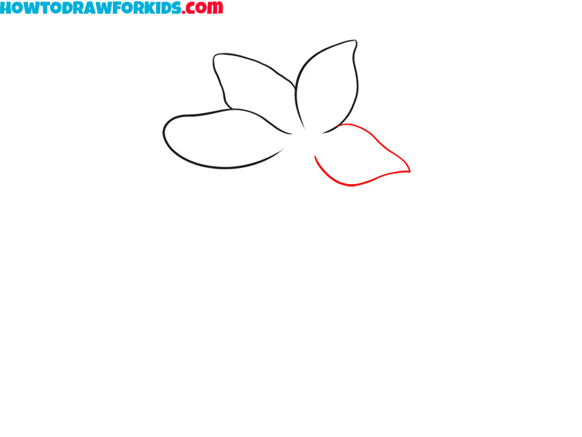 how to draw a beautiful lily