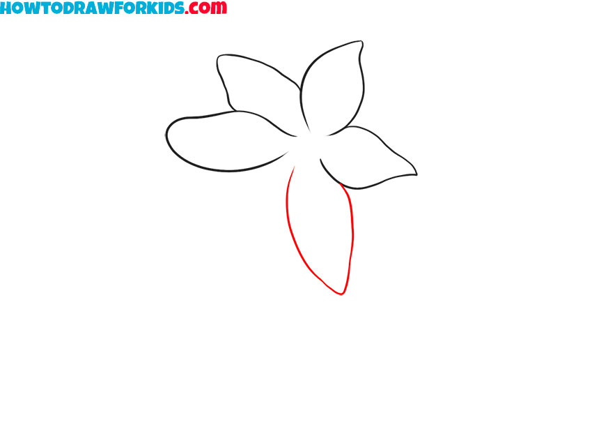how to draw a lily plant