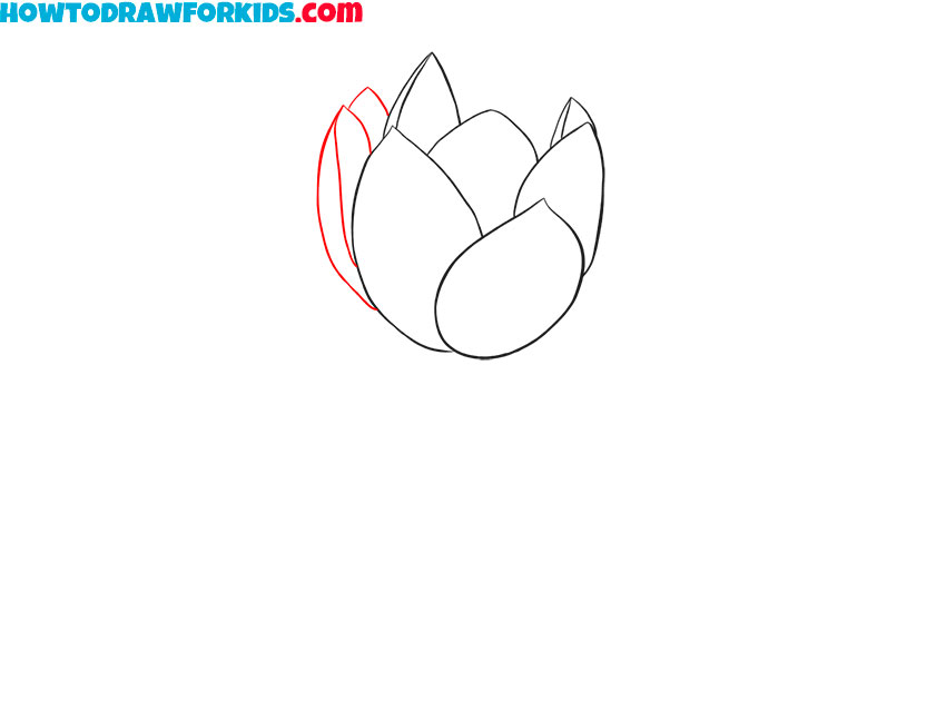 lotus flower drawing guide