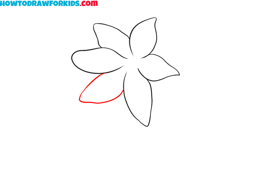 how to draw a realistic lily flower