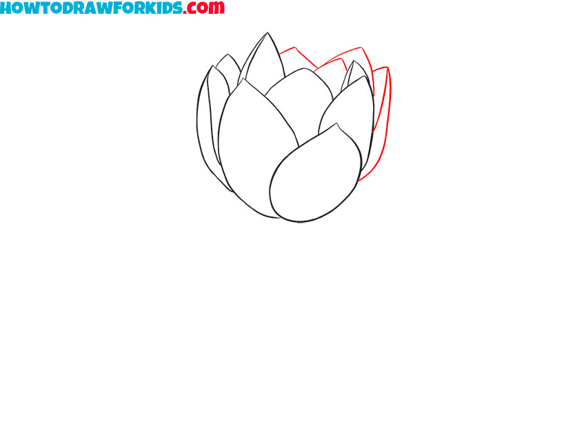 lotus flower drawing lesson