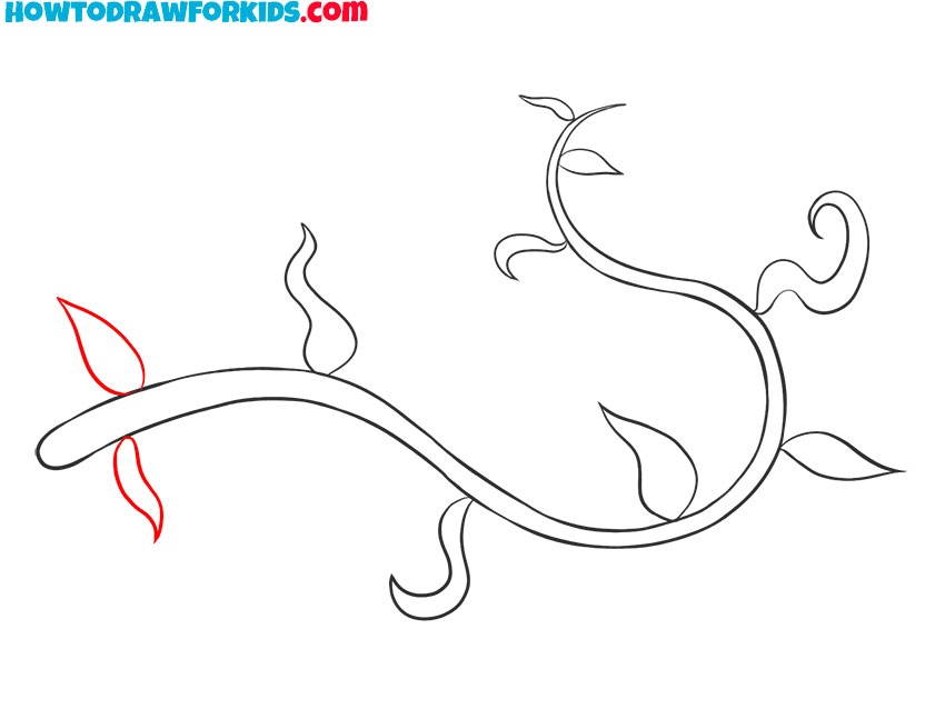 how to draw a vine for kindergarten