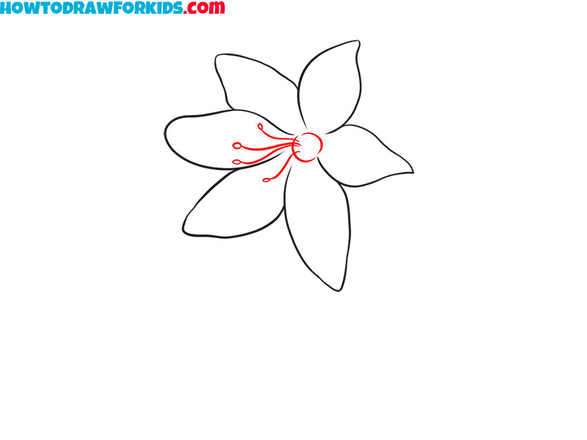 Jasmine Flower Drawing - A Step By Step Tutorial - Cool Drawing Idea