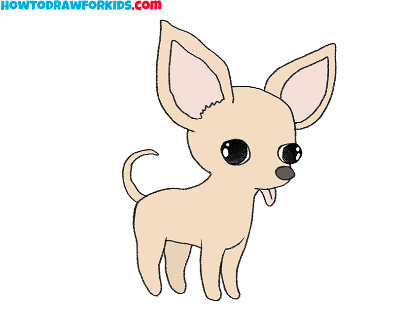 how to draw a cartoon chihuahua