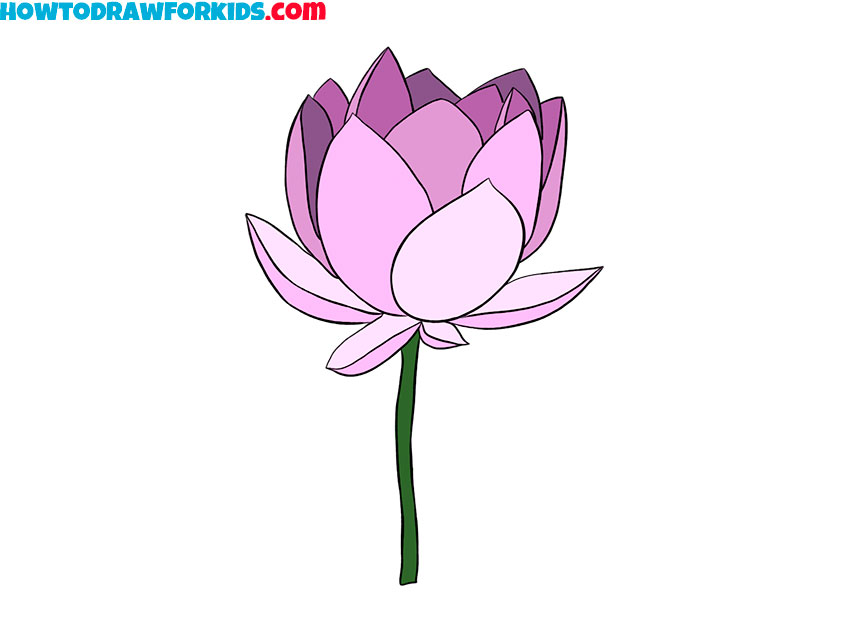 How to Draw a Lotus Flower Step By Step