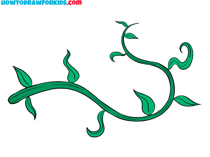 how to draw a vine cartoon