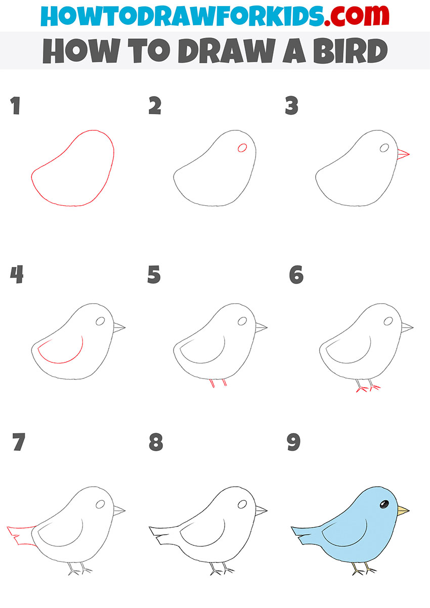 how to draw a bird step by step