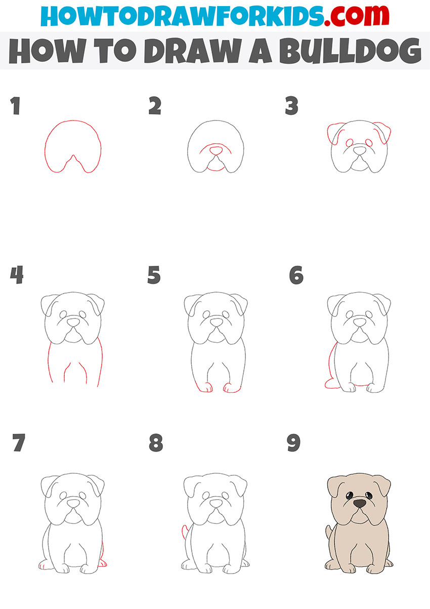 how to draw a bulldog step by step