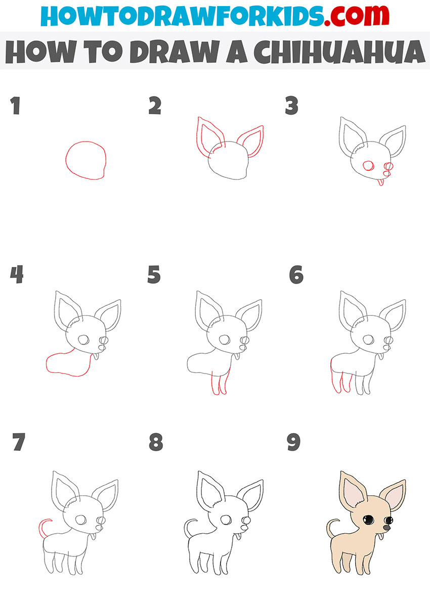 how to draw a chihuahua step by step