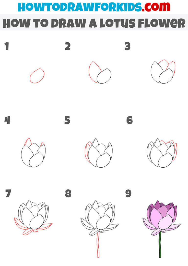 How to Draw a Lotus Flower Easy Drawing Tutorial For Kids