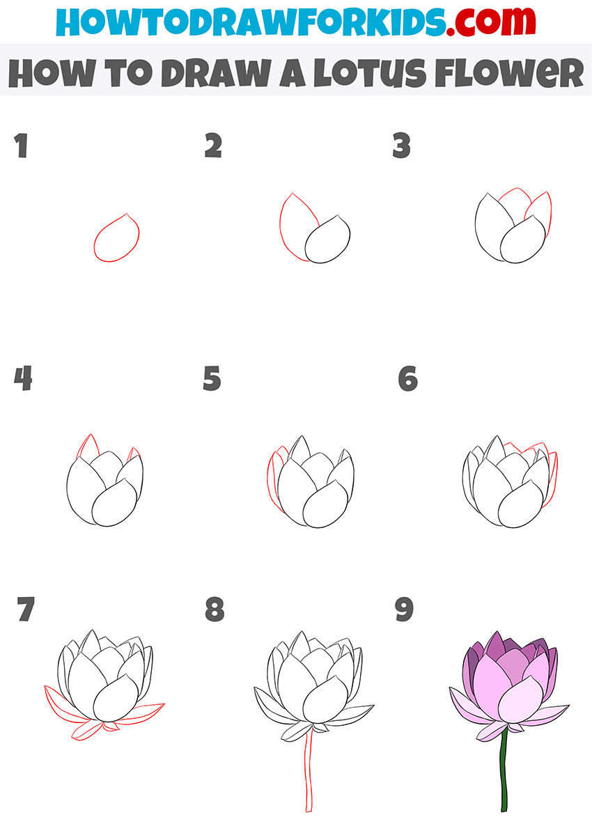 how to draw a lotus flower step by step