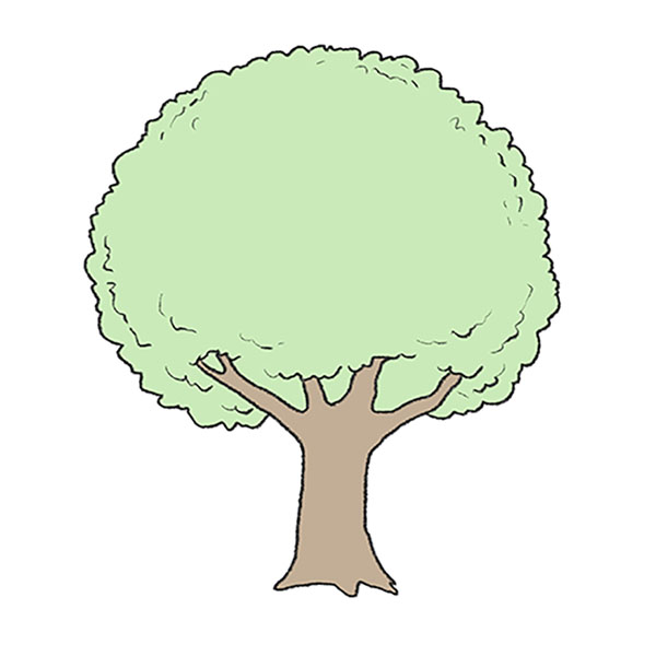 How to Draw a Tree With Leaves