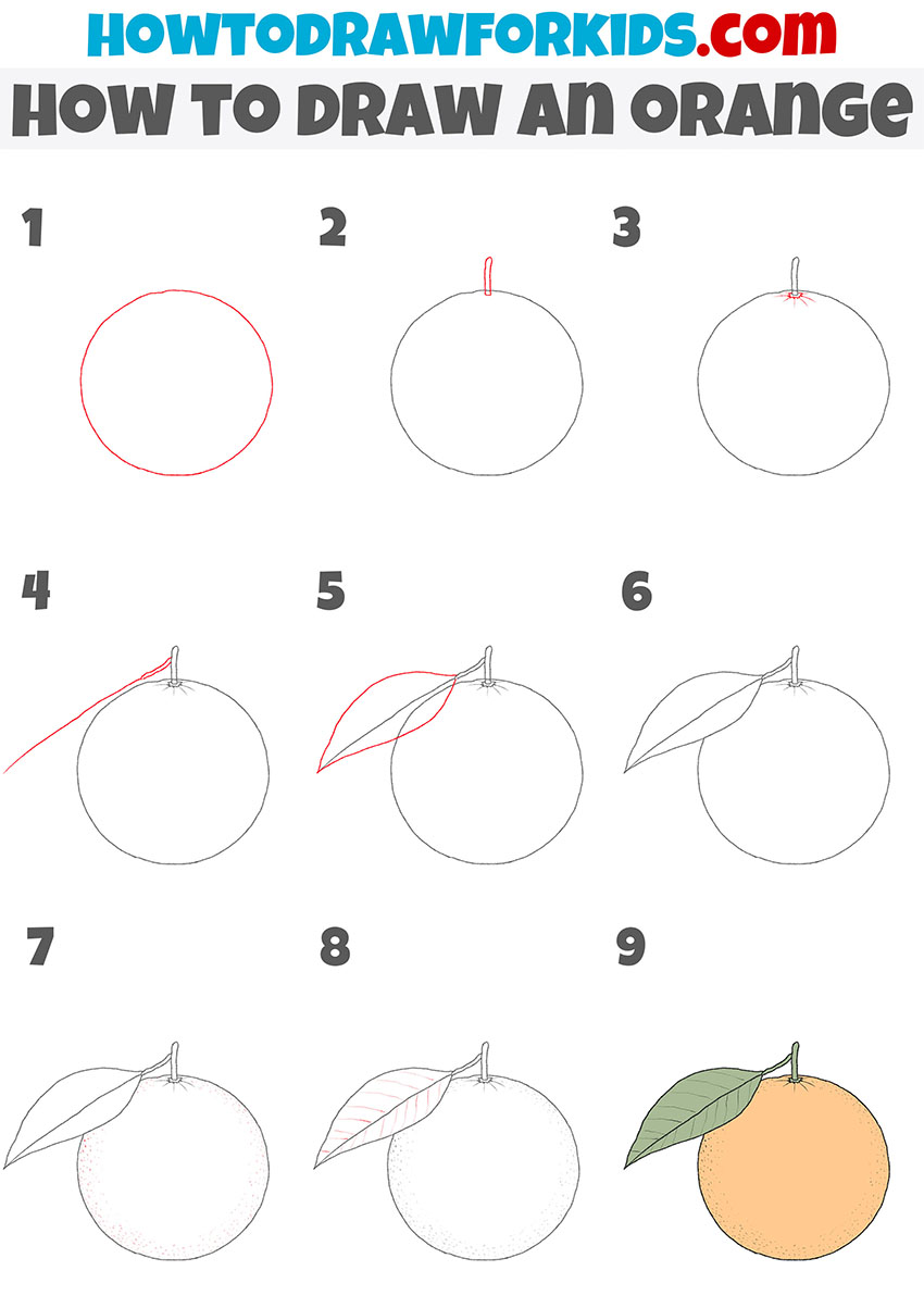 how to draw an orange step by step