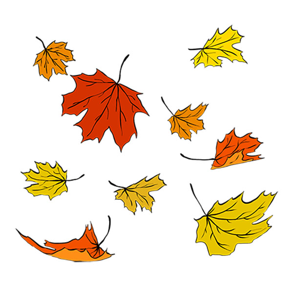 how to draw falling leaves