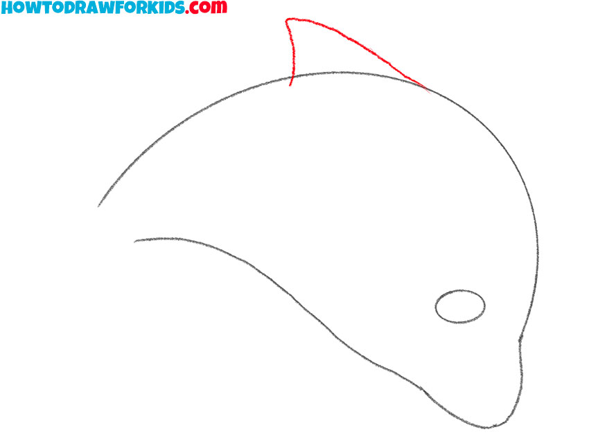 easy dolphin drawing tutorial