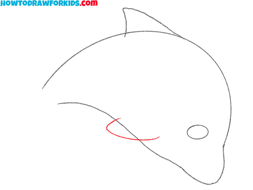 easy dolphin drawing lesson