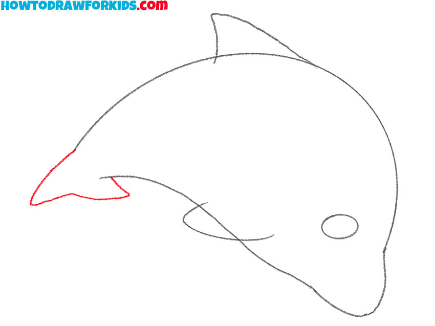 easy dolphin drawing guide