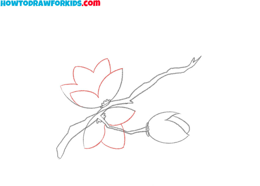 how to draw a cherry blossom for beginners