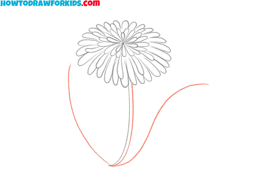 how to draw a dandelion for beginners