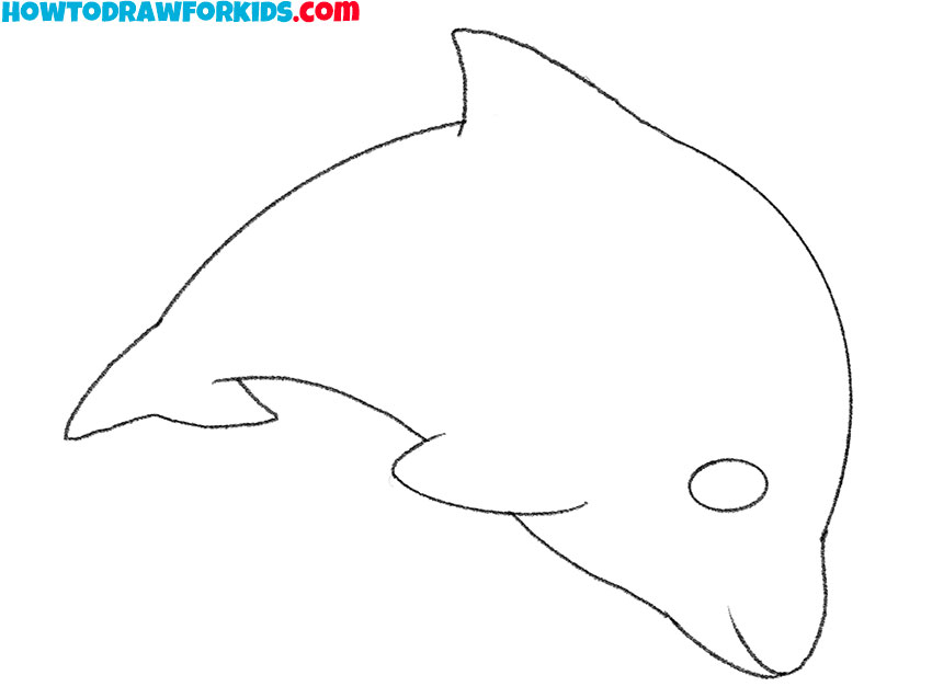 easy dolphin drawing for beginners