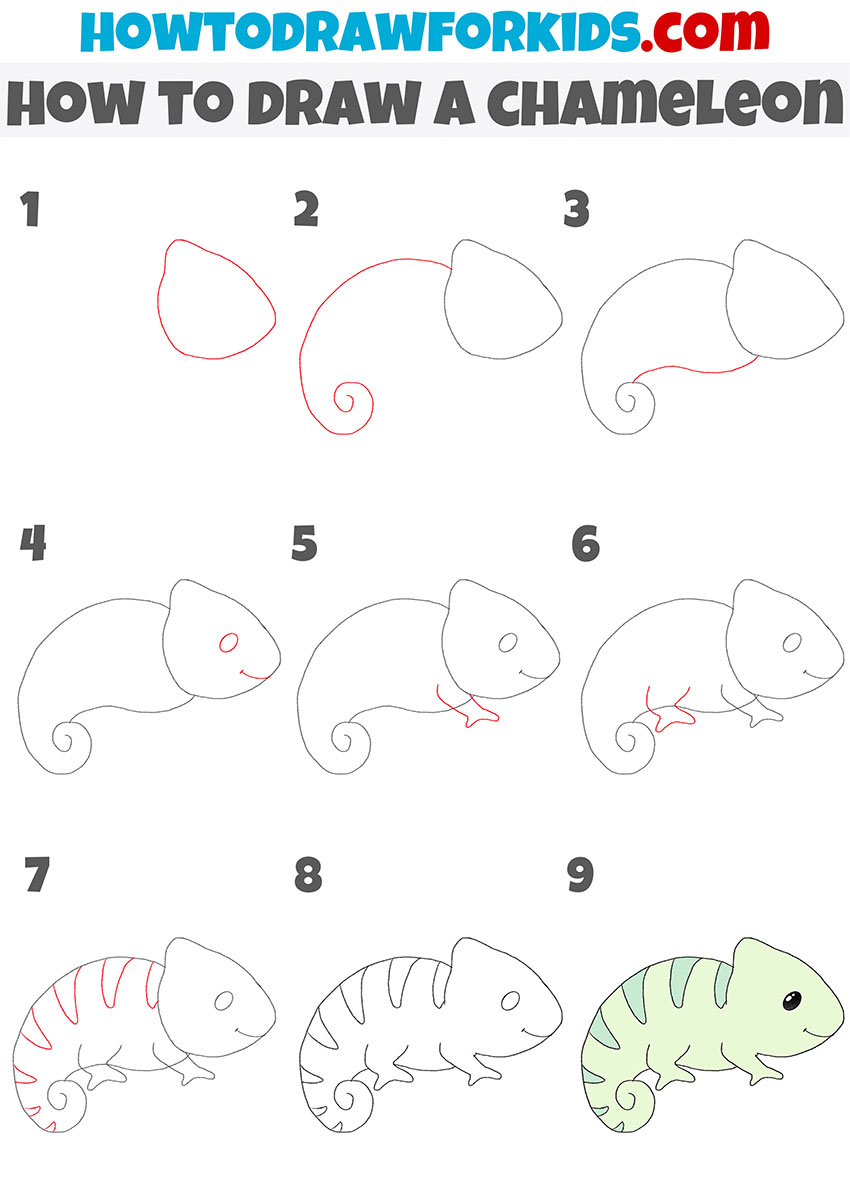 how to draw a chameleon step by step