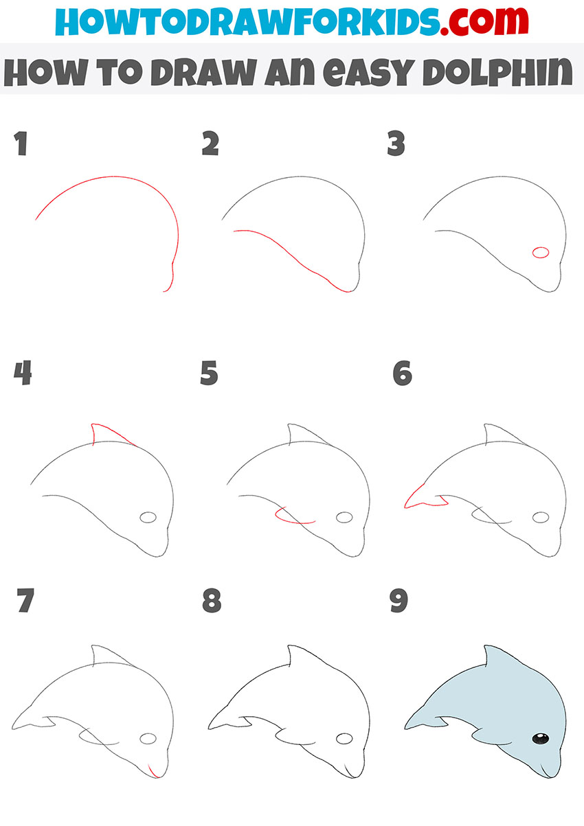 how to draw an easy dolphin step by step