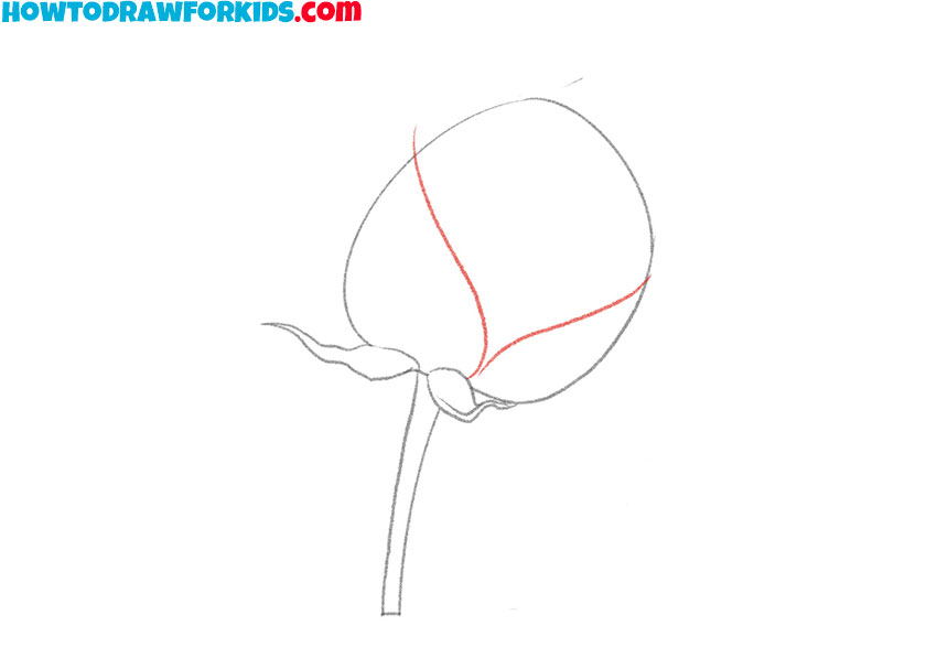 how to draw a flower realistic