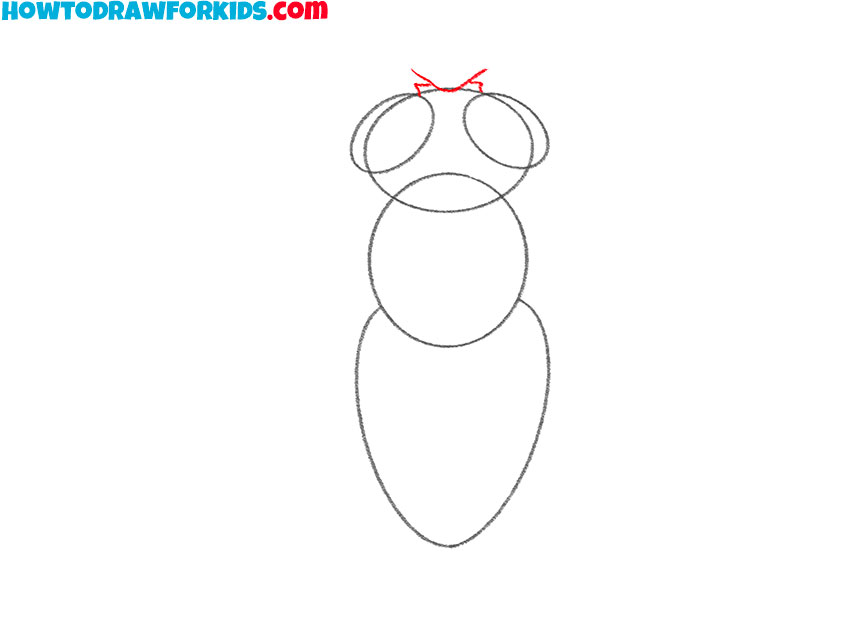 how to draw a cartoon fly