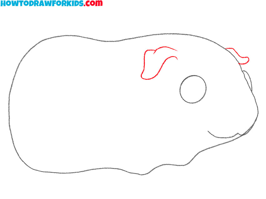 how to draw a guinea pig art hub