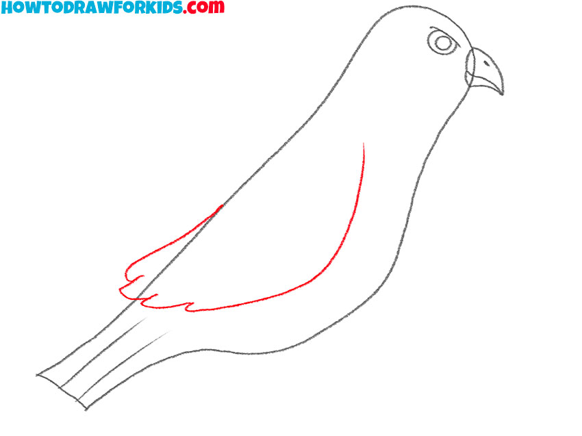 how to draw a realistic hawk