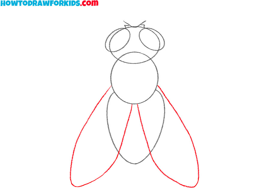 how to draw a cute fly