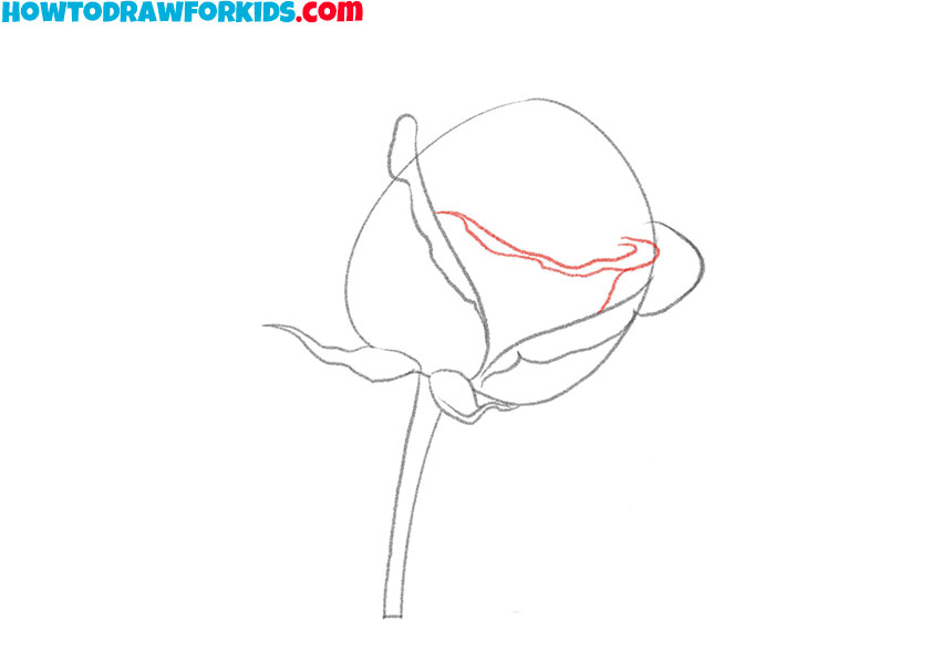 how to draw a flower plant