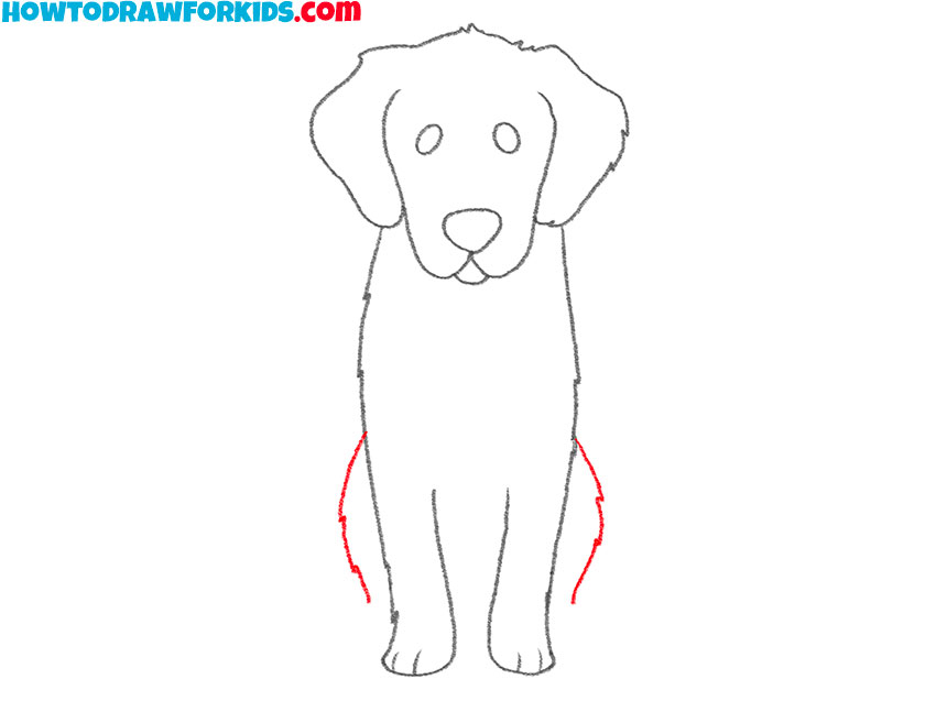 how to draw a golden retriever for beginners