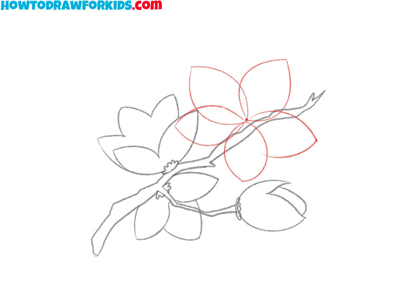cherry blossom drawing tutorial