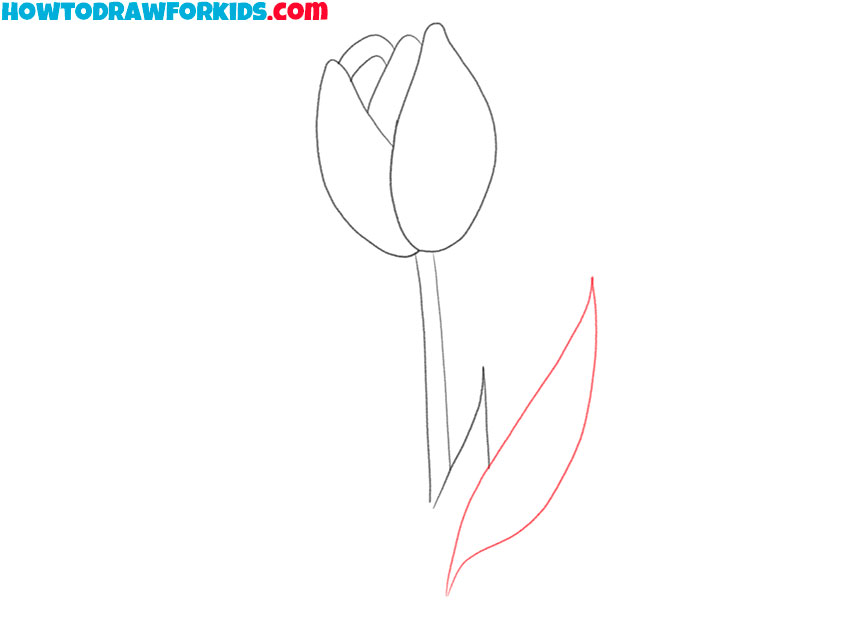 how to draw a beautiful tulip