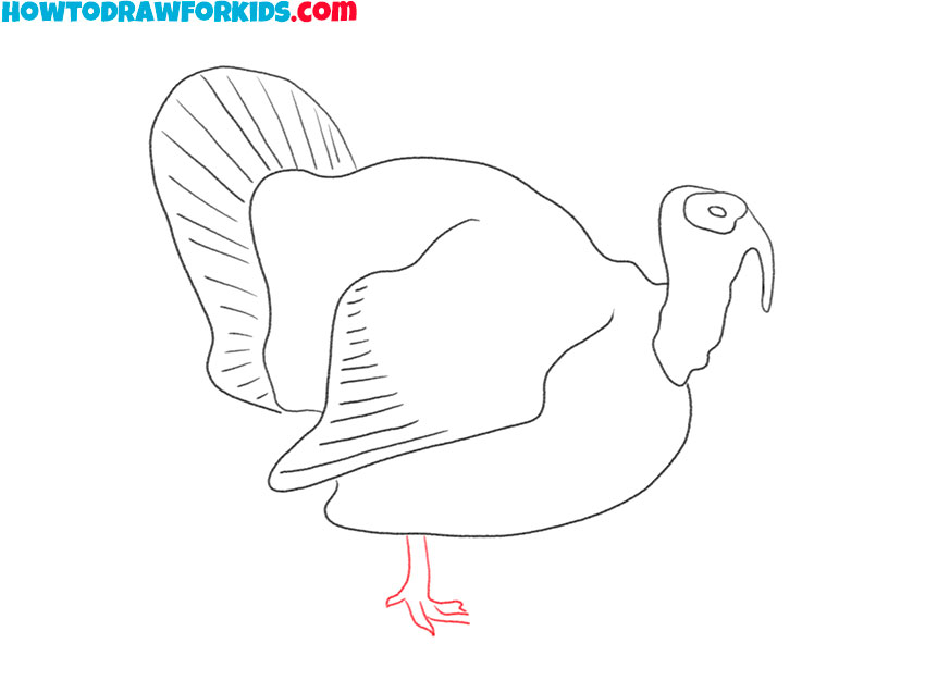 realistic turkey drawing lesson