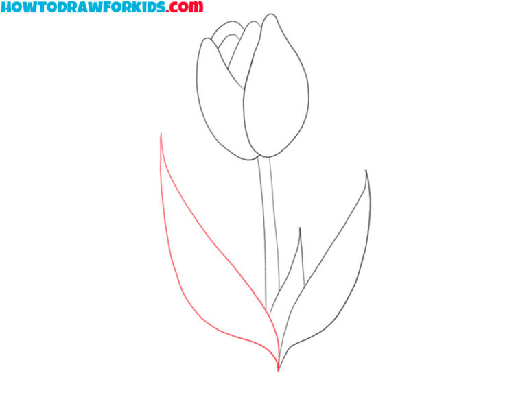 How to Draw a Tulip Step by Step Easy Drawing Tutorial For Kids