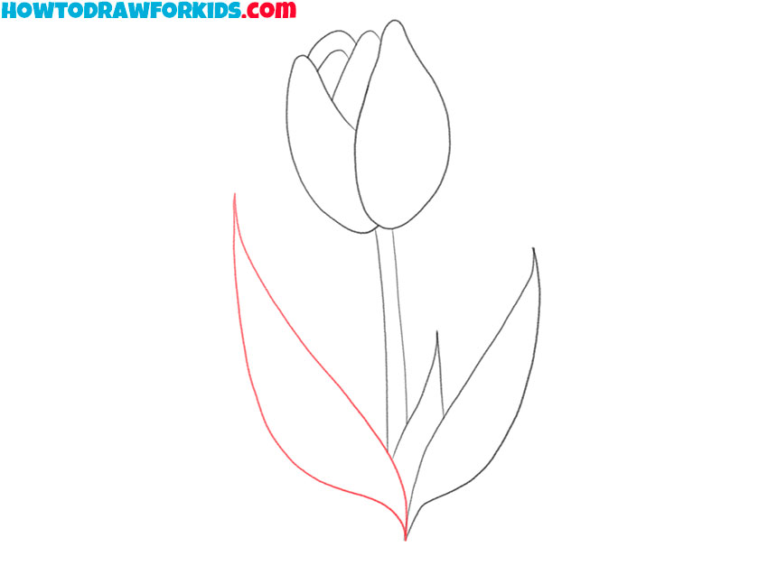 how to draw a simple tulip