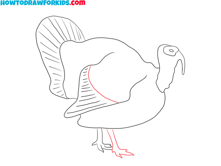 realistic turkey drawing tutorial