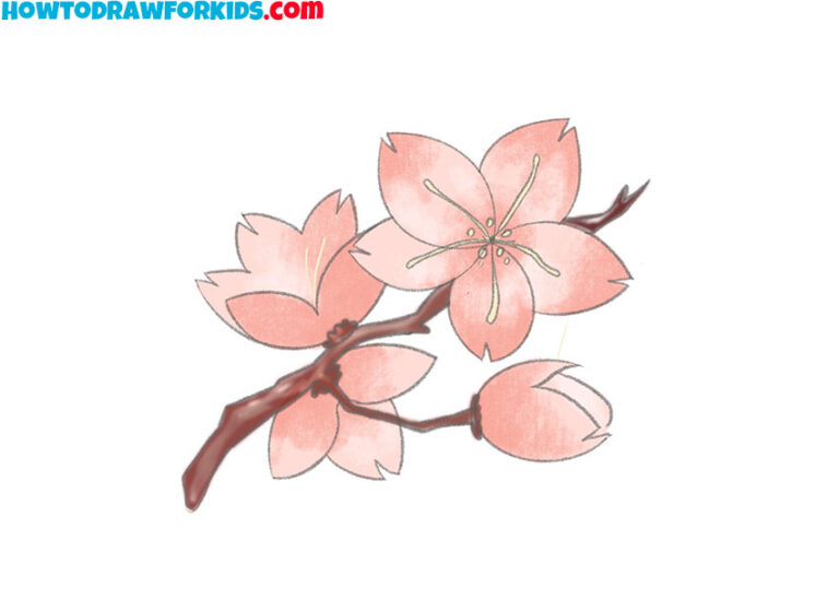 How to Draw a Cherry Blossom Easy Drawing Tutorial For Kids