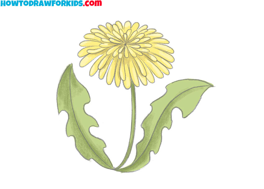 How to Draw a Dandelion - Easy Drawing Tutorial For Kids