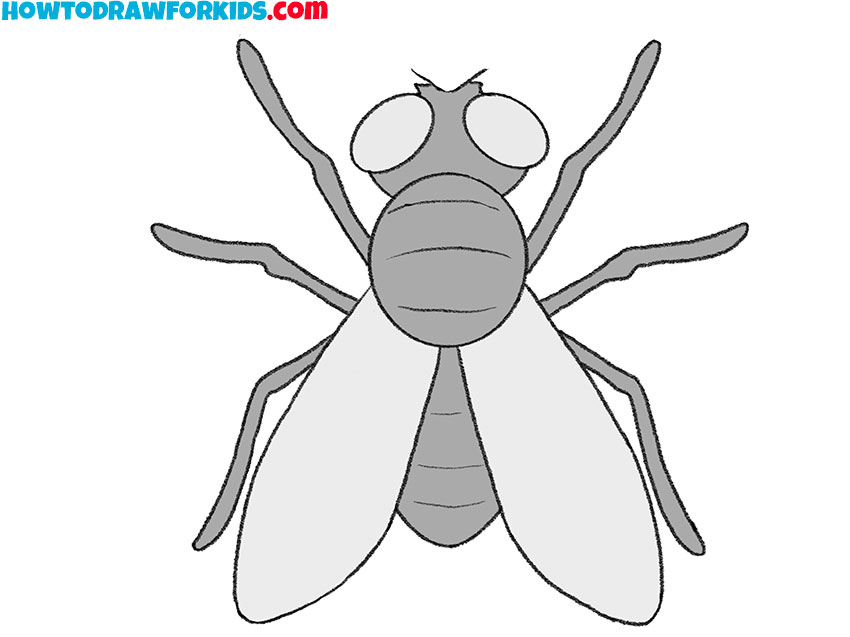 cartoon fly drawing