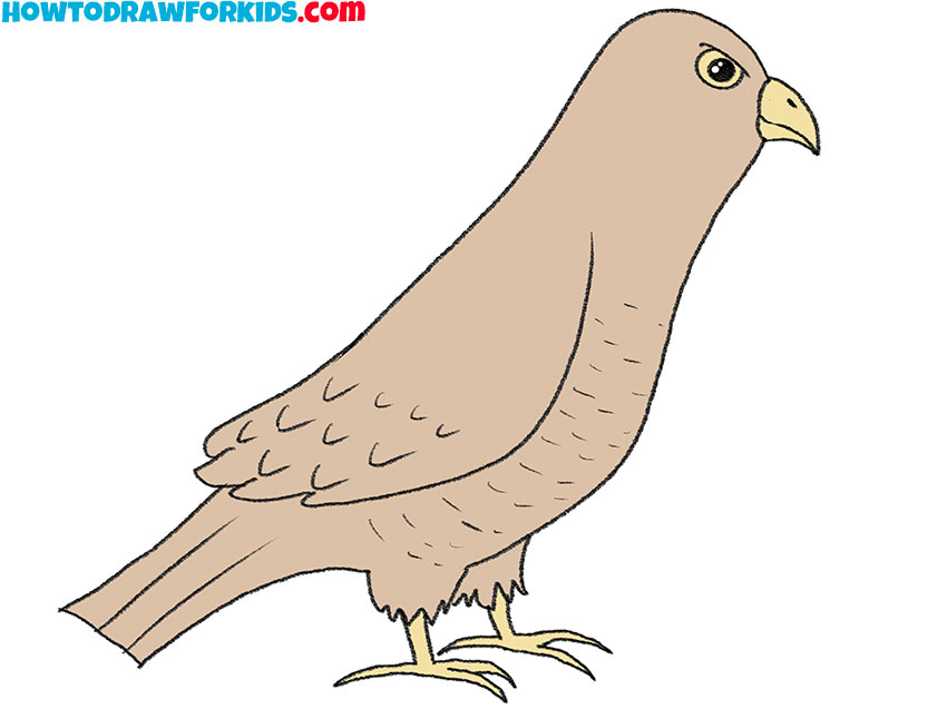 How to Draw a Hawk Easy Drawing Tutorial For Kids