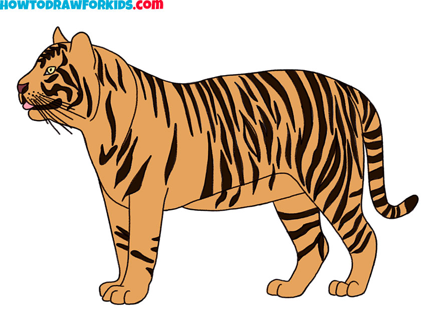 How to Draw a Realistic Tiger Easy Drawing Tutorial For Kids