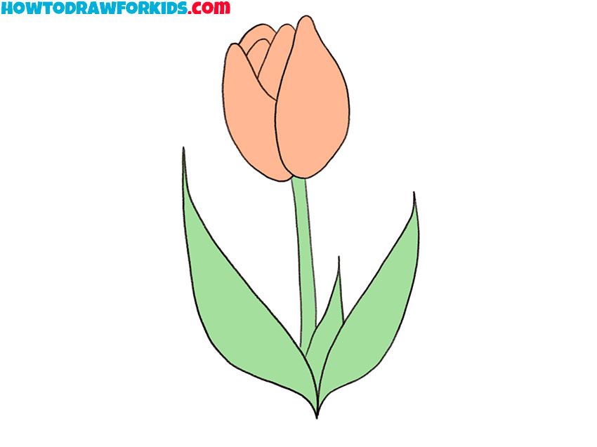 how to draw a tulip cartoon